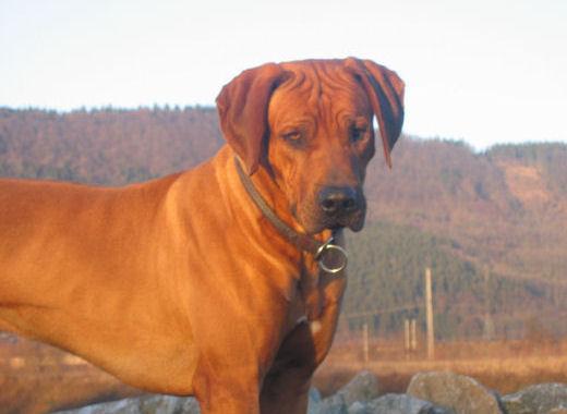junior (17).jpg